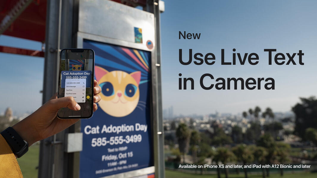 Use Live Text in Camera